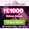 spinprincess-casino-1000welcome