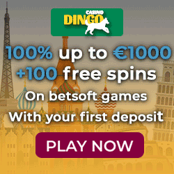 Dingo mobile casino